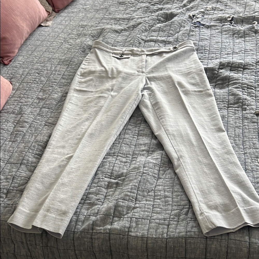 Anthropologie Light Gray Ankle Pants